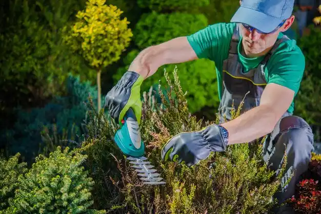 landscaping services Grandyle Village